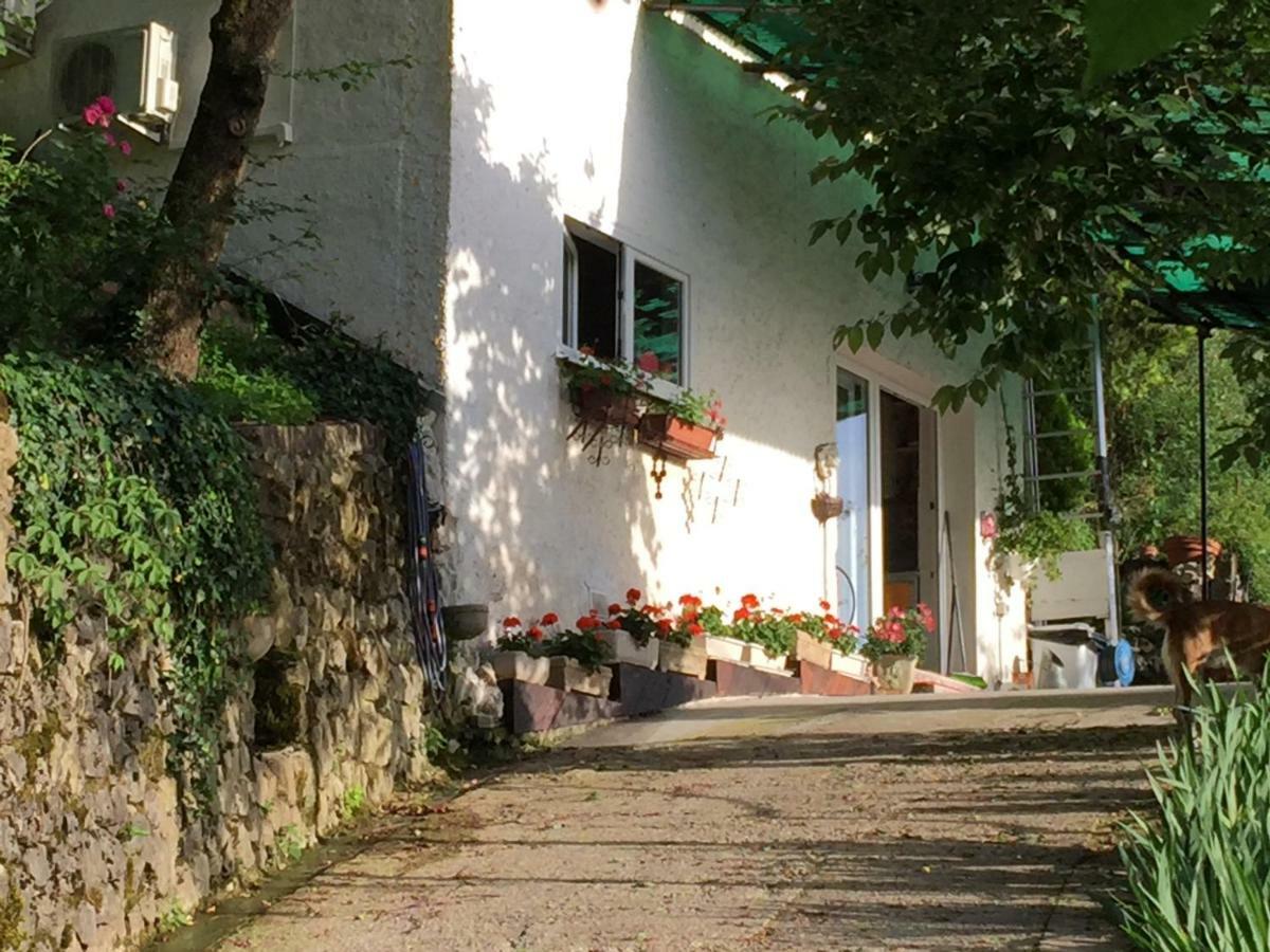 Bed and Breakfast Su Da Noi San Dorligo della Valle Exteriér fotografie